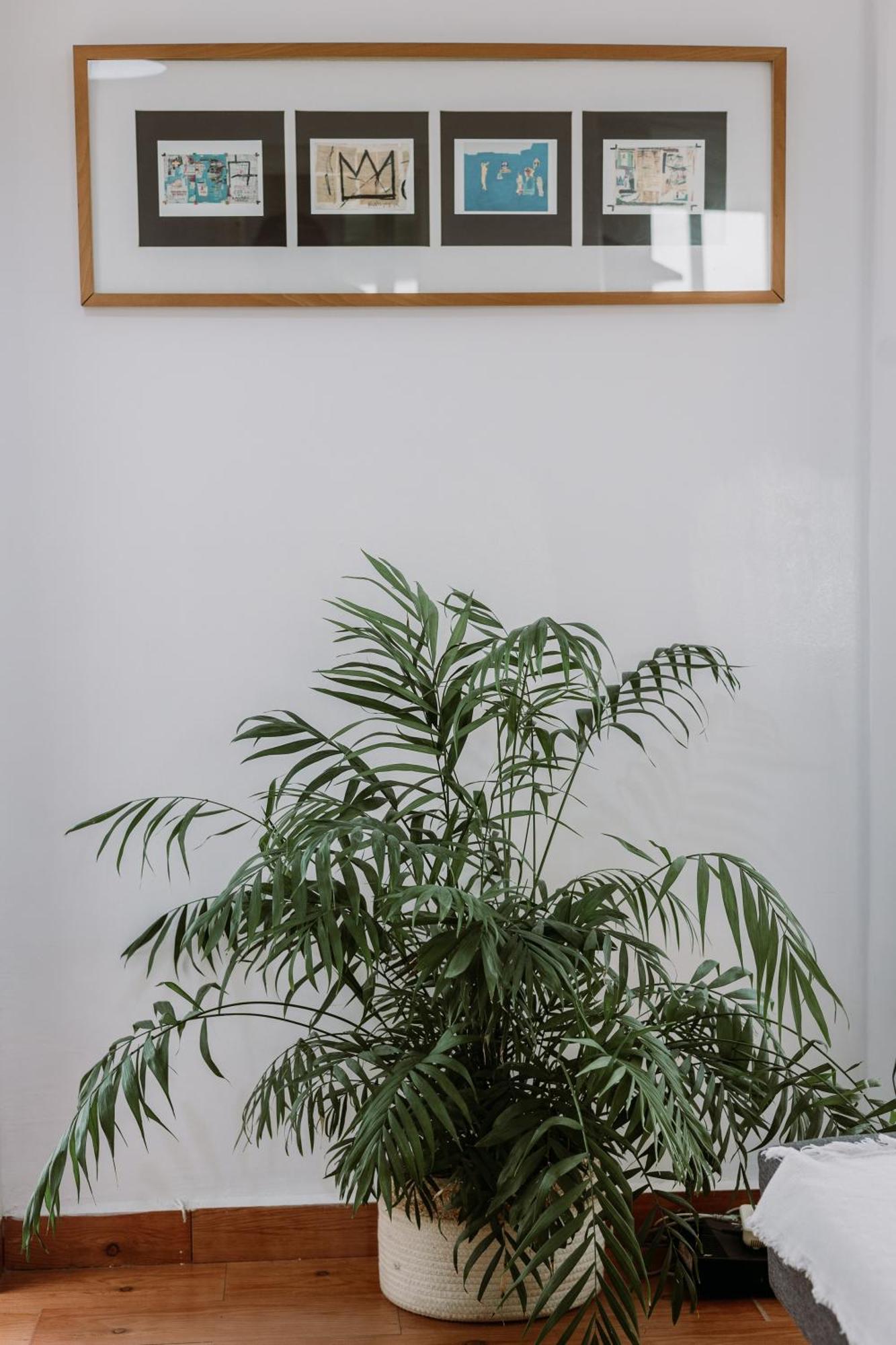 Spacious Central Apartment 塞维利亚 外观 照片
